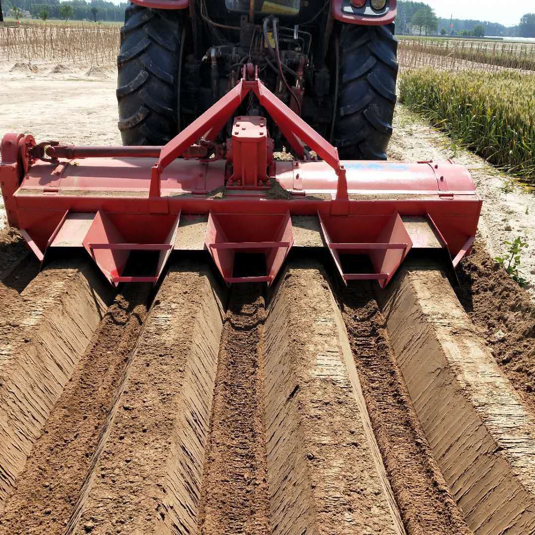 <a href=http://m.818129.cn/ target='_blank'>開溝機</a>